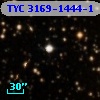 TYC 3169-1444-1