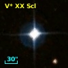 V* XX Scl