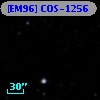 [EM96] COS-1256