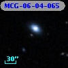 MCG-06-04-065