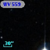 WV 559
