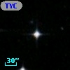 TYC 7007-1513-1