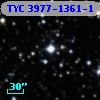 TYC 3977-1361-1