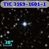 TYC 3169-1601-1