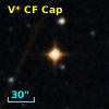 V* CF Cap