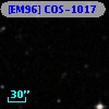 [EM96] COS-1017