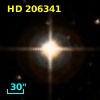 HD 206341
