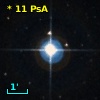 *  11 PsA