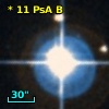 CD-28 17533B