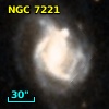 NGC  7221
