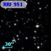 RRF  981