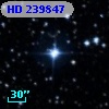 HD 239847