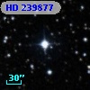 HD 239877