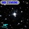 HD 239896