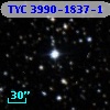 TYC 3990-1837-1