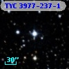 TYC 3977-237-1