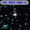 TYC 3977-603-1