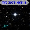 TYC 3977-666-1