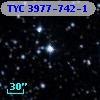 TYC 3977-742-1