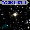 TYC 3977-873-1