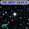 TYC 3977-1124-1
