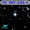 TYC 3977-1193-1