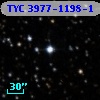 TYC 3977-1198-1