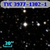 TYC 3977-1302-1