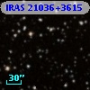 IRAS 21036+3615