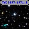 TYC 3977-1771-1