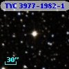 TYC 3977-1982-1
