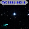 TYC 3981-163-1