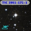 TYC 3981-175-1
