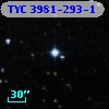 TYC 3981-293-1