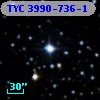 TYC 3990-736-1