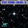 TYC 3990-1016-1