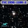 TYC 3990-1100-1