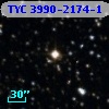TYC 3990-2174-1