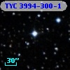 TYC 3994-300-1