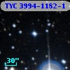 TYC 3994-1182-1