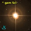 * gam Scl