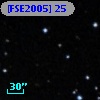 [FSE2005] 25
