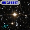HD 239987
