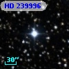 HD 239996