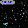 24P 202