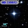 HD 239972