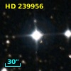 HD 239956
