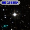 HD 239959