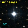 HD 239962