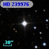 HD 239976